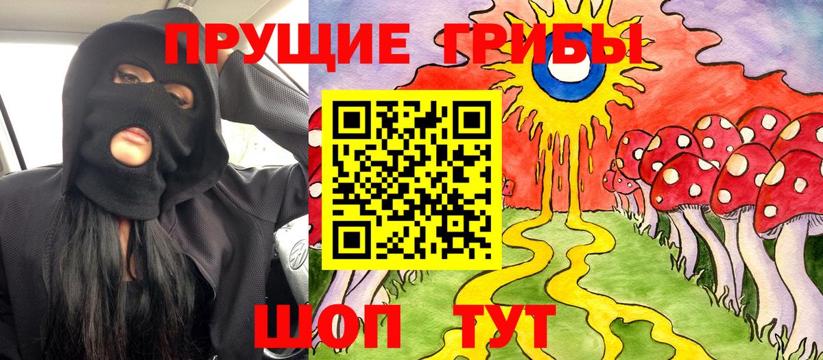 Галлюциногенные грибы Psilocybe Мариинск